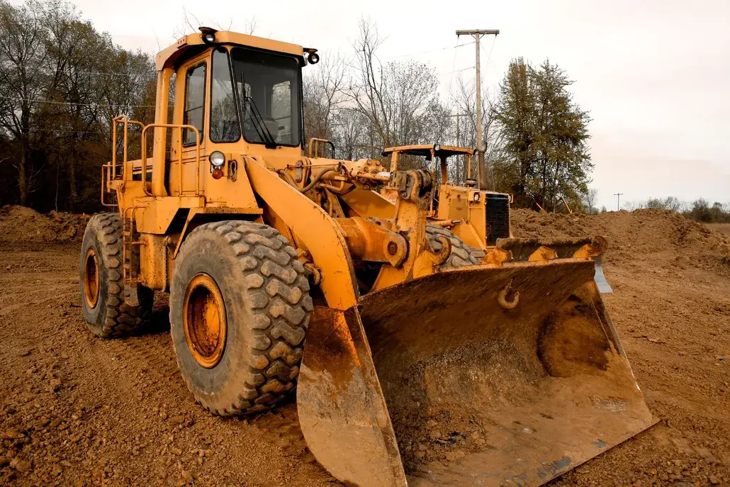 tree removal service warner robins