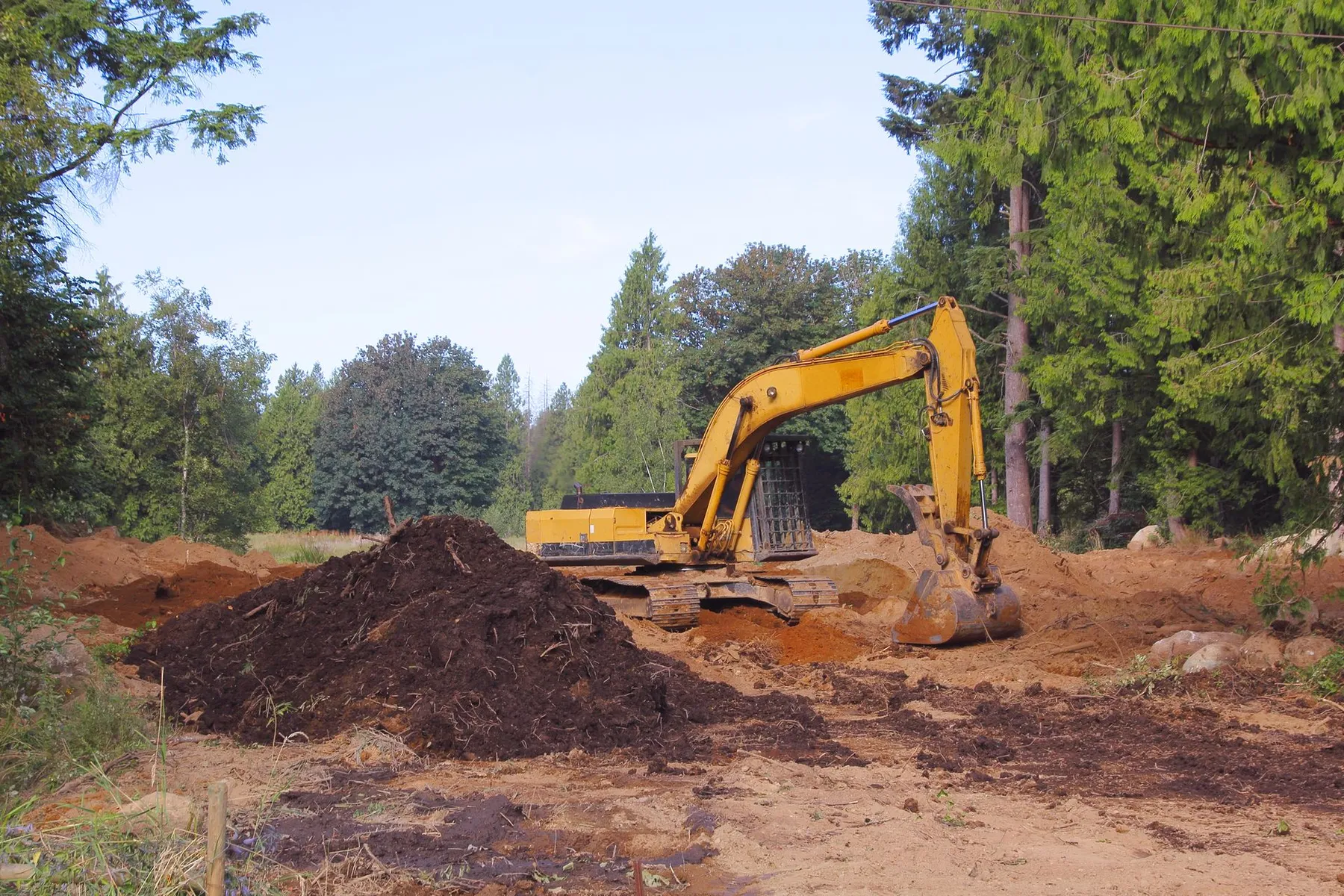 How Much Land Can a Professional Land Clearing Contractor Clear in One Day?