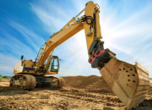 tree removal service Dublin