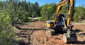 Tree removal service Warner Robins