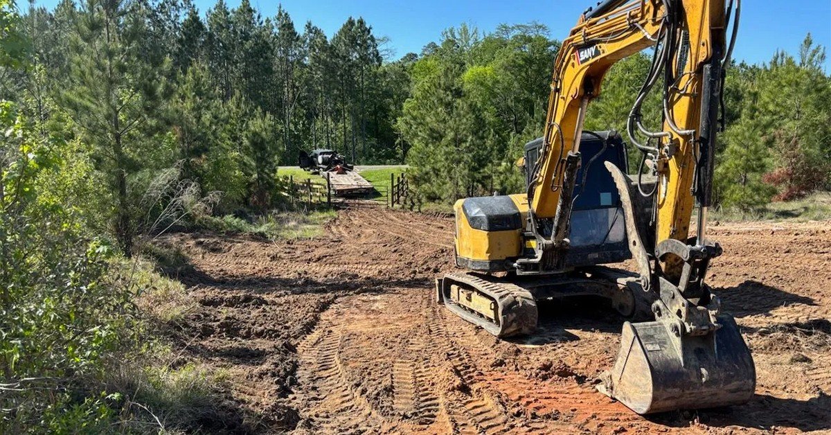 How Can Professional Tree Removal Support Your Next Landscaping Project?